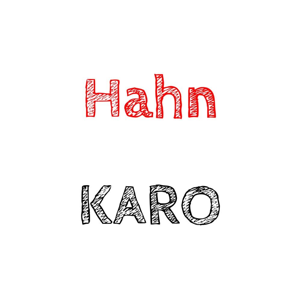 Hahn / KARO Bremsbacken
